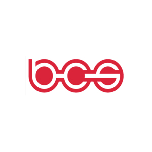 BCS Automotive Interface Solutions Global Online Auction