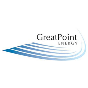 GreatPoint Energy Global Online Auction